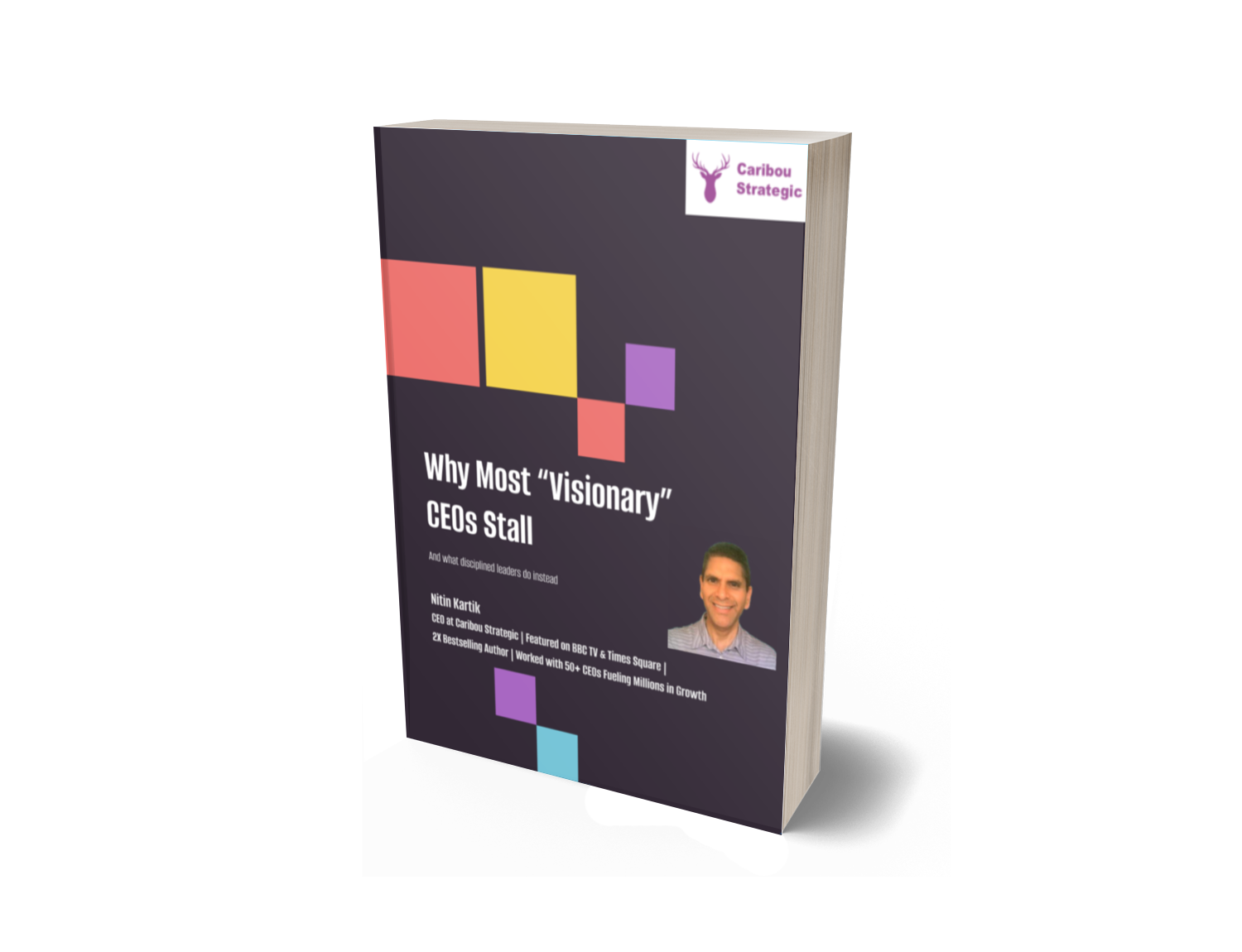 why-most-visionary-ceos-stall-3dmockup